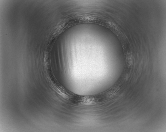 X0000055990760200509092019