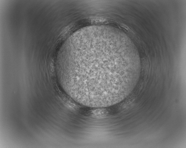 X0000055990761200509092019