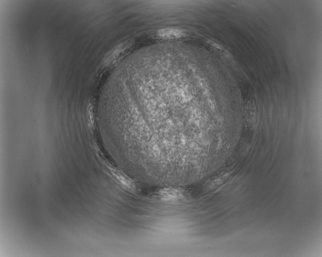 X0000055990762200509092019