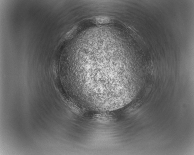 X0000055990763200509092019