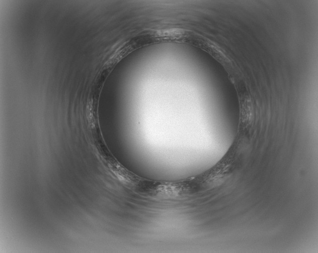 X0000055990764200509092019