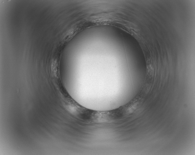 X0000055990767200509092019