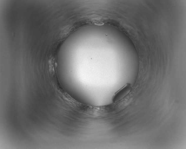 X0000055990768200509092019