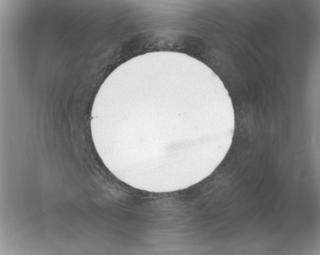 X0000055990769200509092018