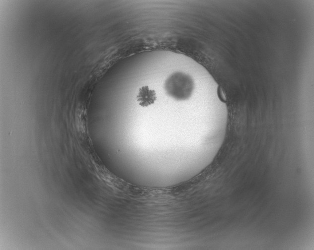 X0000055990770200509092018