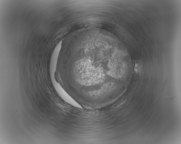 X0000055990771200509092018