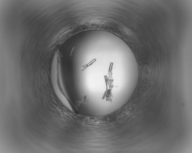 X0000055990774200509092018