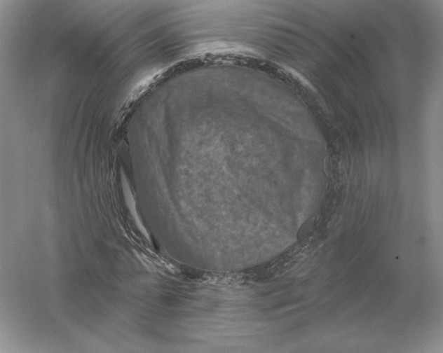 X0000055990775200509092018