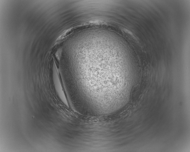 X0000055990776200509092018