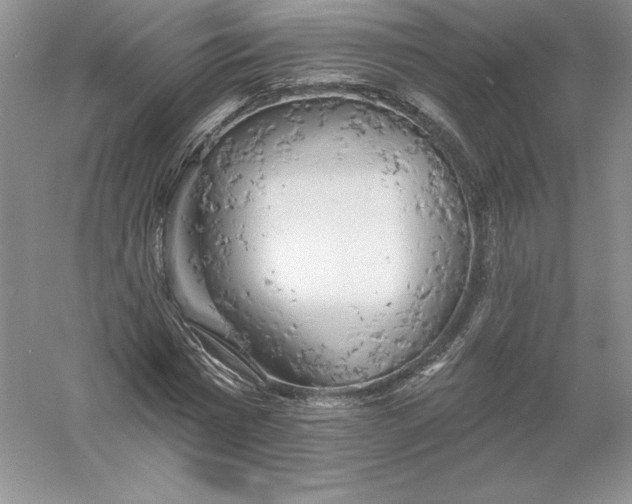 X0000055990777200509092018