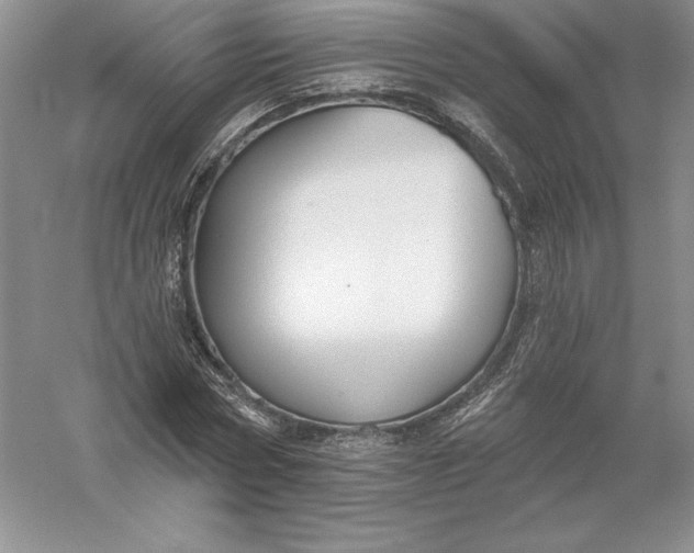 X0000055990778200509092018