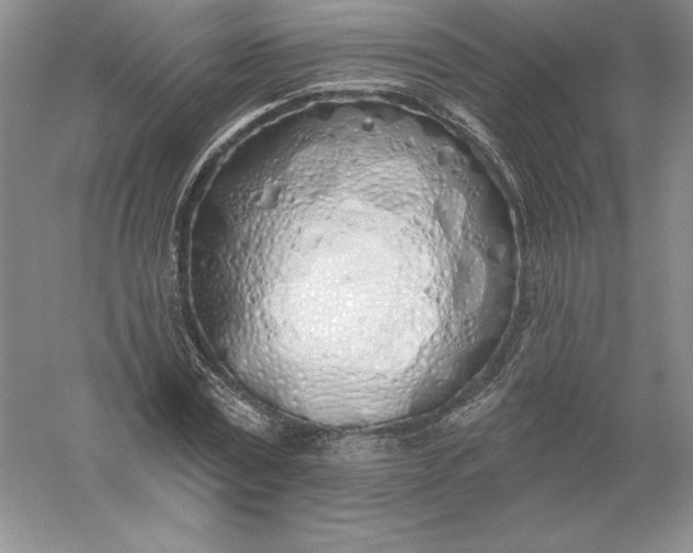 X0000055990779200509092018