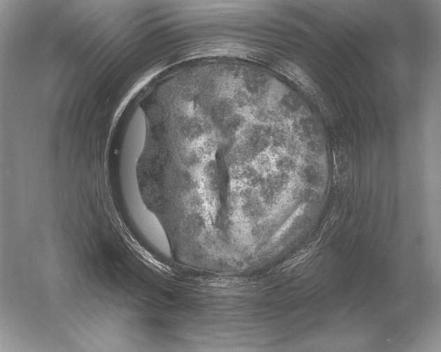 X0000055990780200509092018