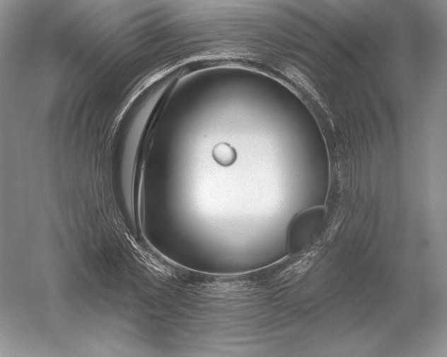 X0000055990781200509092018