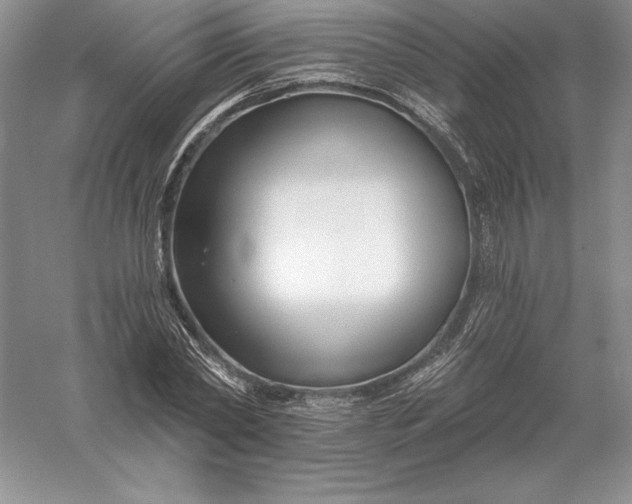 X0000055990782200509092018