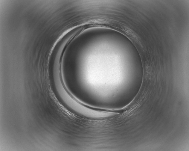 X0000055990784200509092018