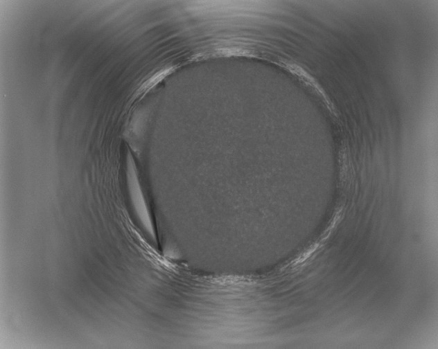 X0000055990785200509092018