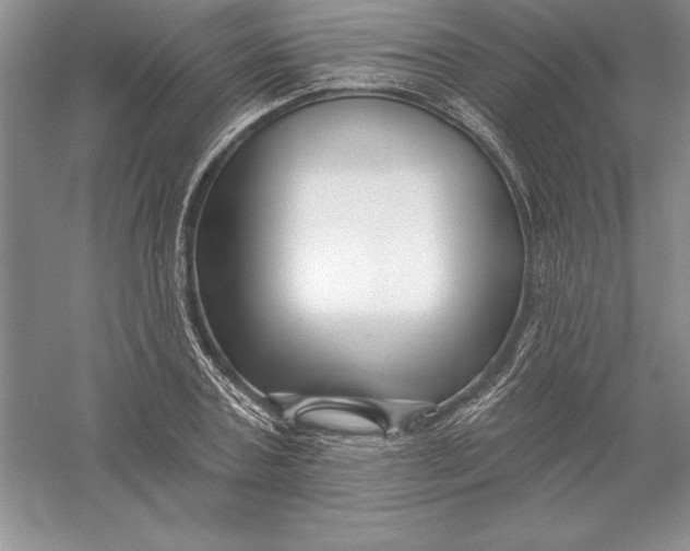 X0000055990787200509092018