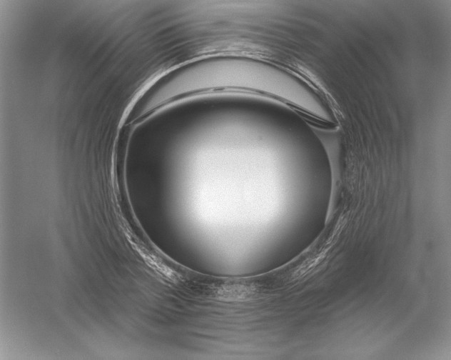 X0000055990788200509092018