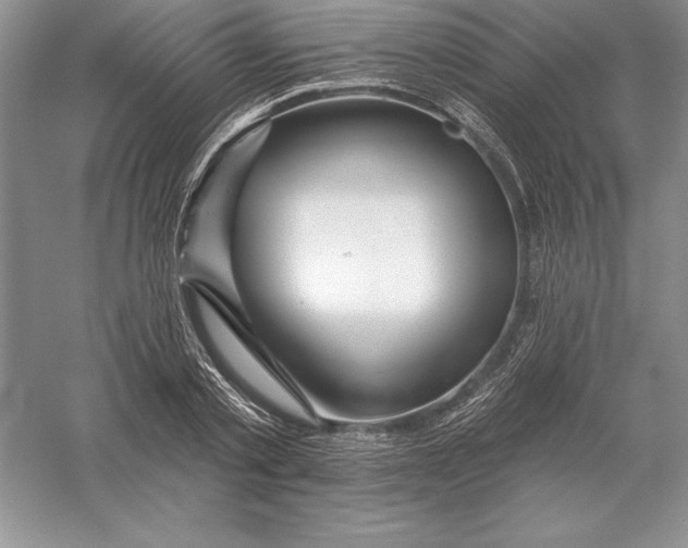 X0000055990789200509092018