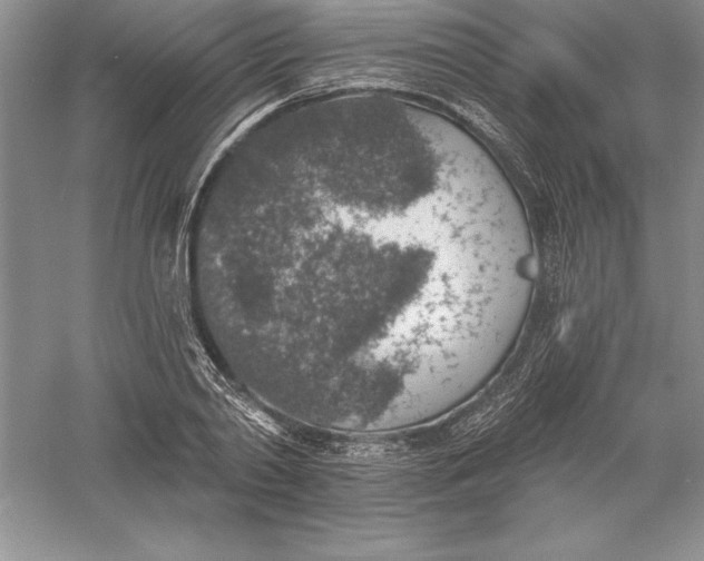 X0000055990790200509092018