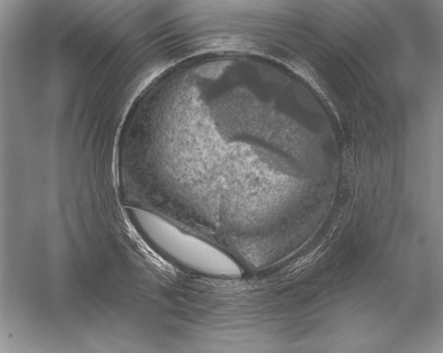 X0000055990791200509092018