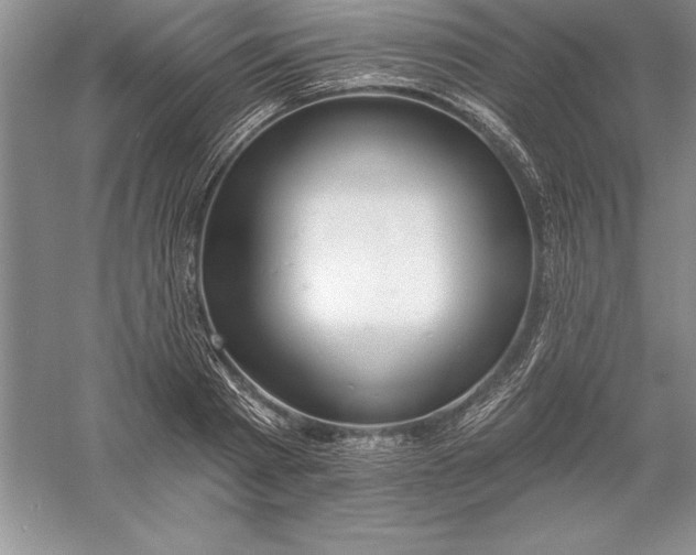 X0000055990793200509092018