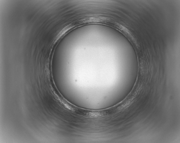 X0000055990794200509092018