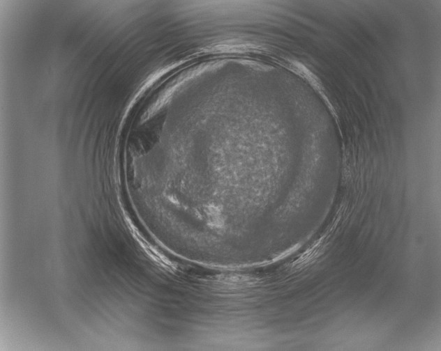 X0000055990795200509092018