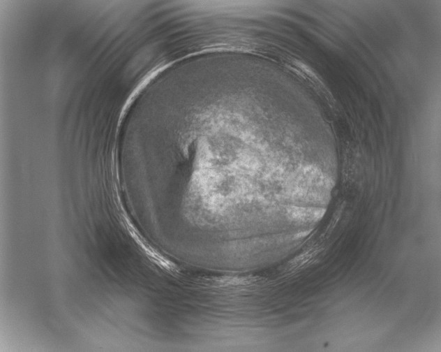 X0000055990796200509092018