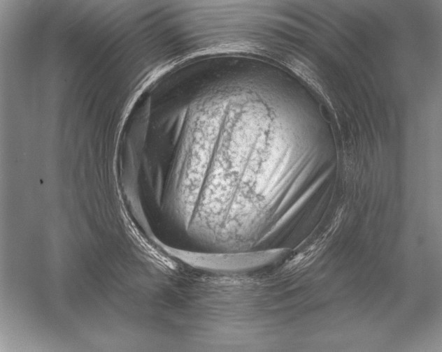 X0000055990797200509092018