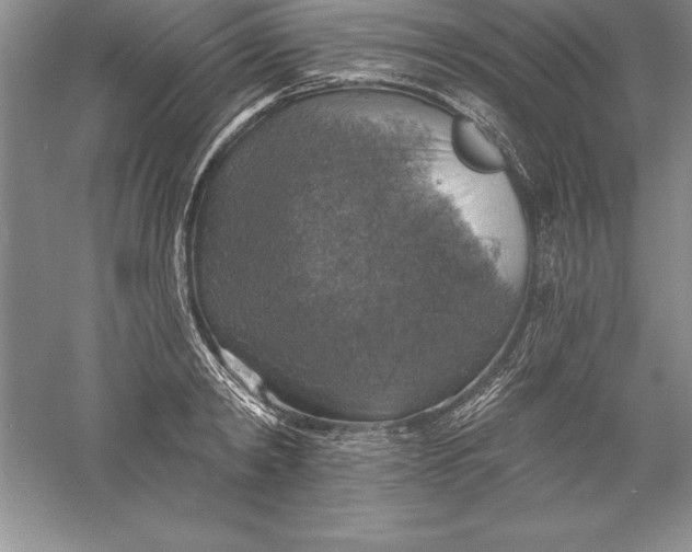 X0000055990798200509092018