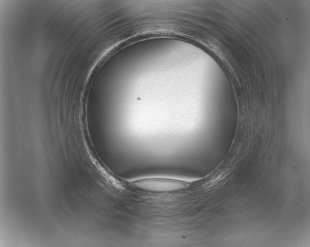 X0000055990799200509092018