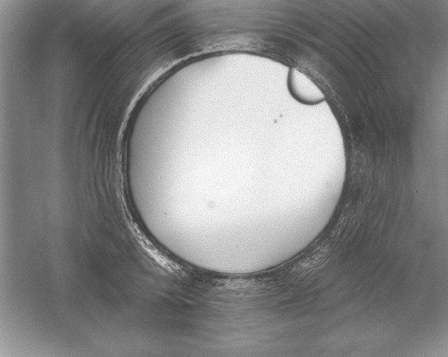 X0000055990800200509092018