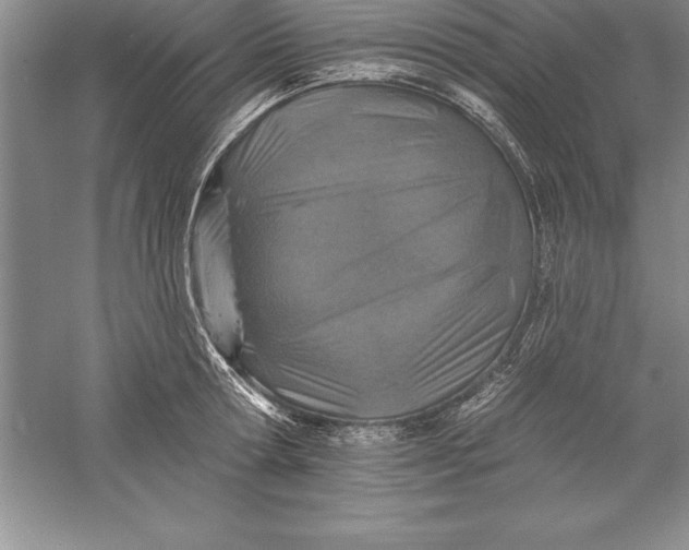 X0000055990802200509092018