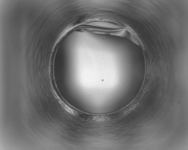 X0000055990803200509092018