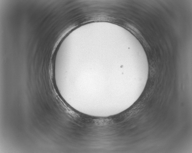 X0000055990804200509092018