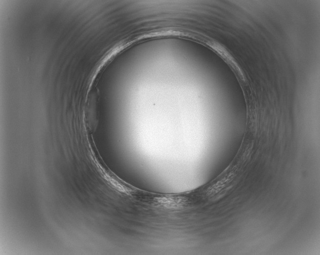 X0000055990805200509092018