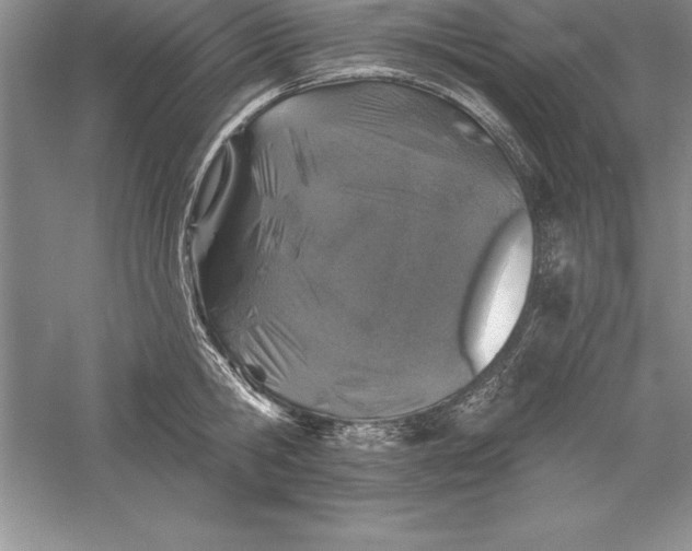 X0000055990806200509092018