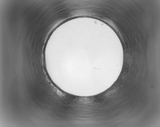 X0000055990807200509092018