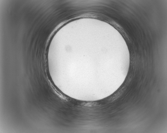 X0000055990808200509092018