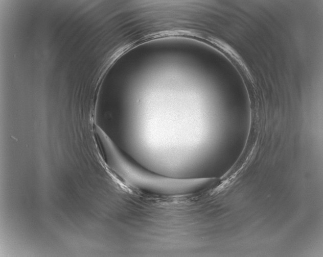 X0000055990809200509092018