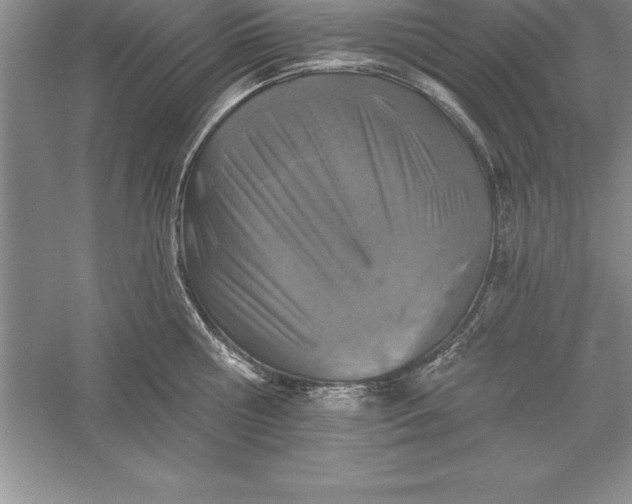 X0000055990810200509092018