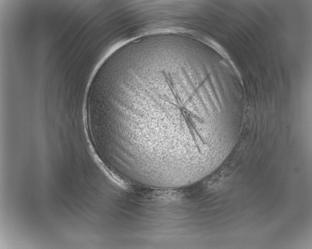 X0000055990811200509092018