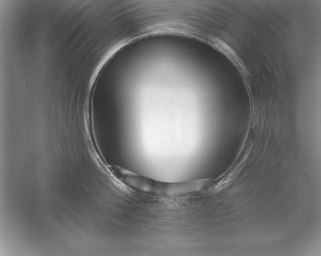 X0000055990812200509092018