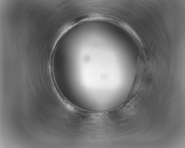 X0000055990813200509092018