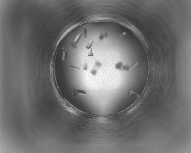 X0000055990814200509092018