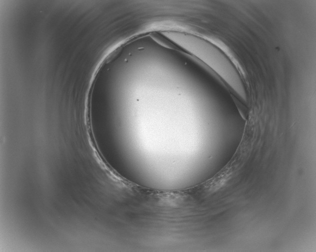 X0000055990815200509092018