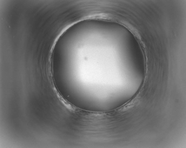 X0000055990816200509092018