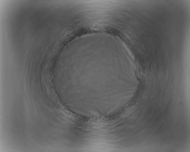 X0000055990817200509092017